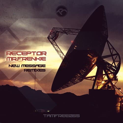 Cover Receptor, Mr.Frenkie - New Message (remixes)