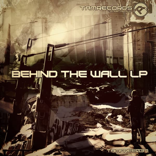 Cover VA - Behind The Wall LP