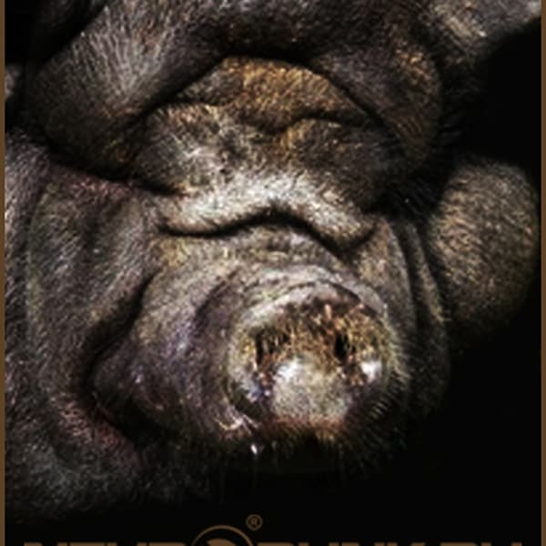 Обложка mixed by Bes - THE FAT