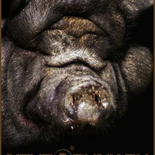 Cover mixed by Bes - THE FAT