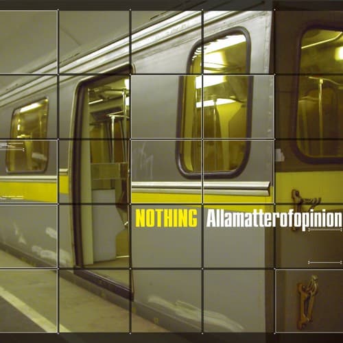 Cover Nothing - Allamatterofopinion LP