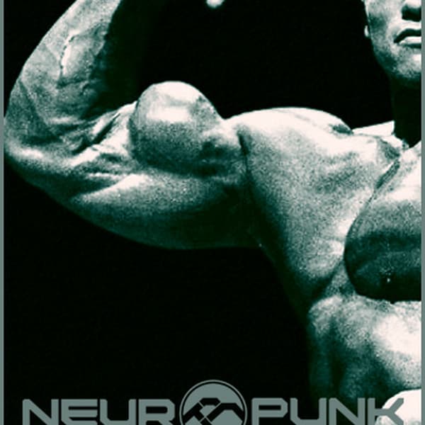 Cover mixed by Bes - THE FAT 2